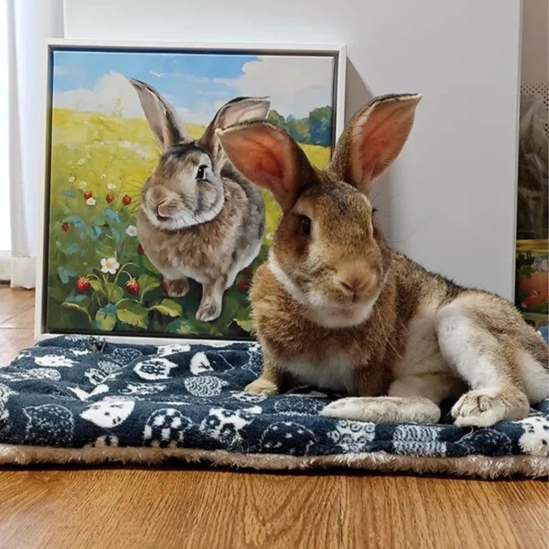 Custom Pet Portraits — Artistic paintings of cats and dogs drawn from your photos