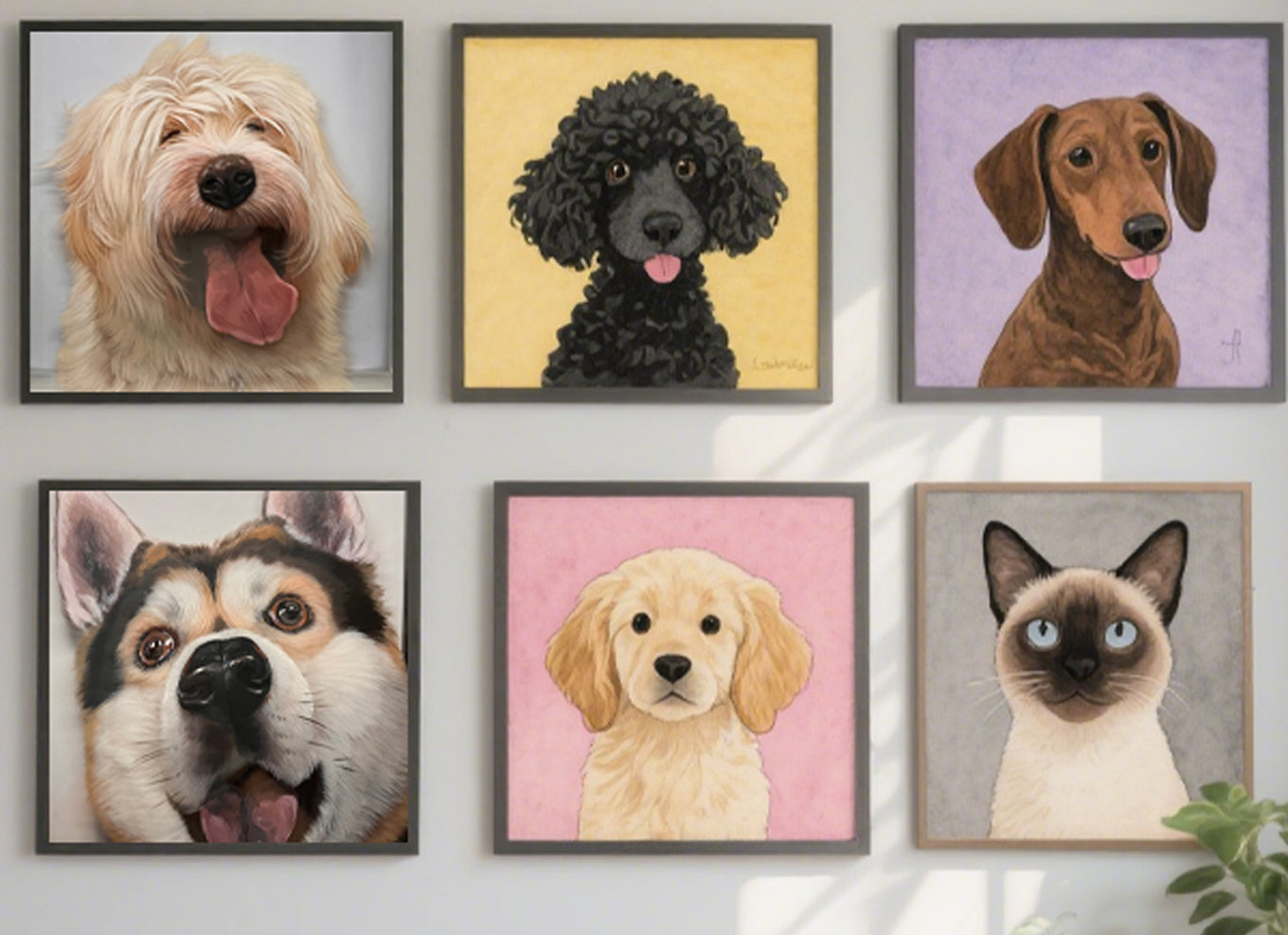 Multiple Surprising Facts About Dog