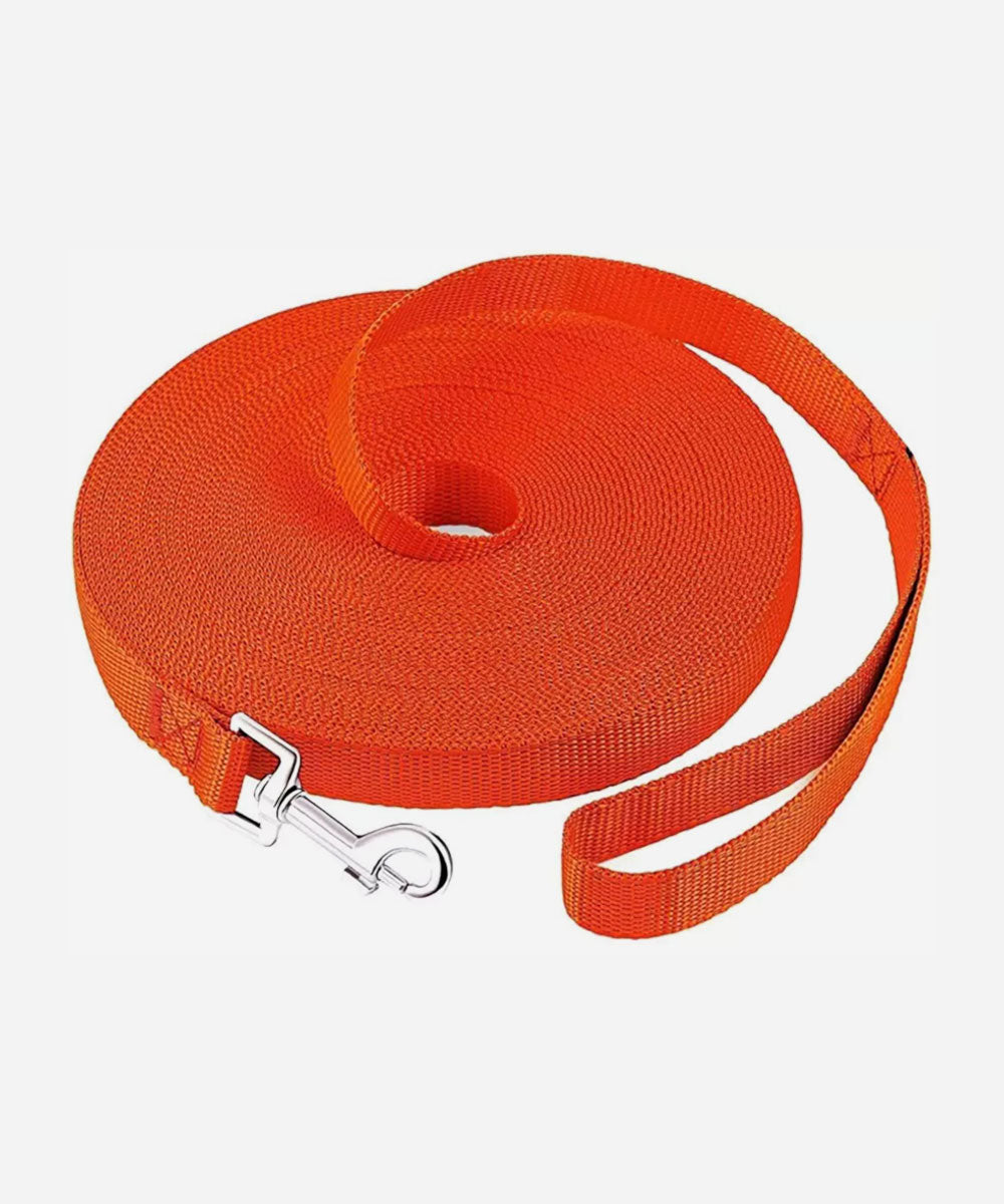 Dog/Puppy Obedience Recall Training Agility Lead