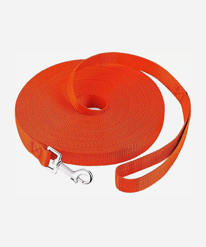 Dog/Puppy Obedience Recall Training Agility Lead