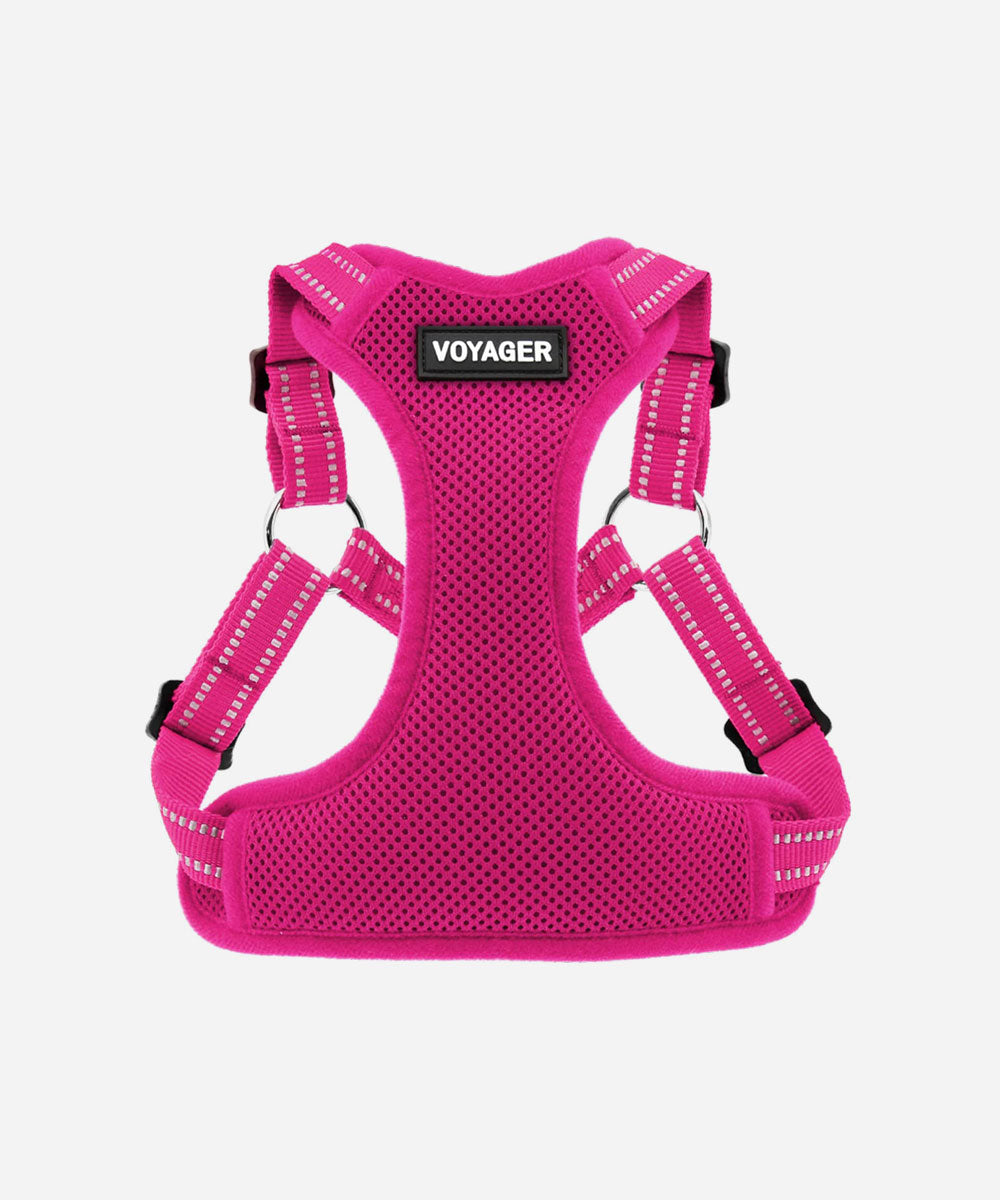 Voyager Step-in Lock Adjustable  Dog Harness