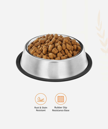 Pets Empire Stainless Steel Dog Bowl (Set of 2)