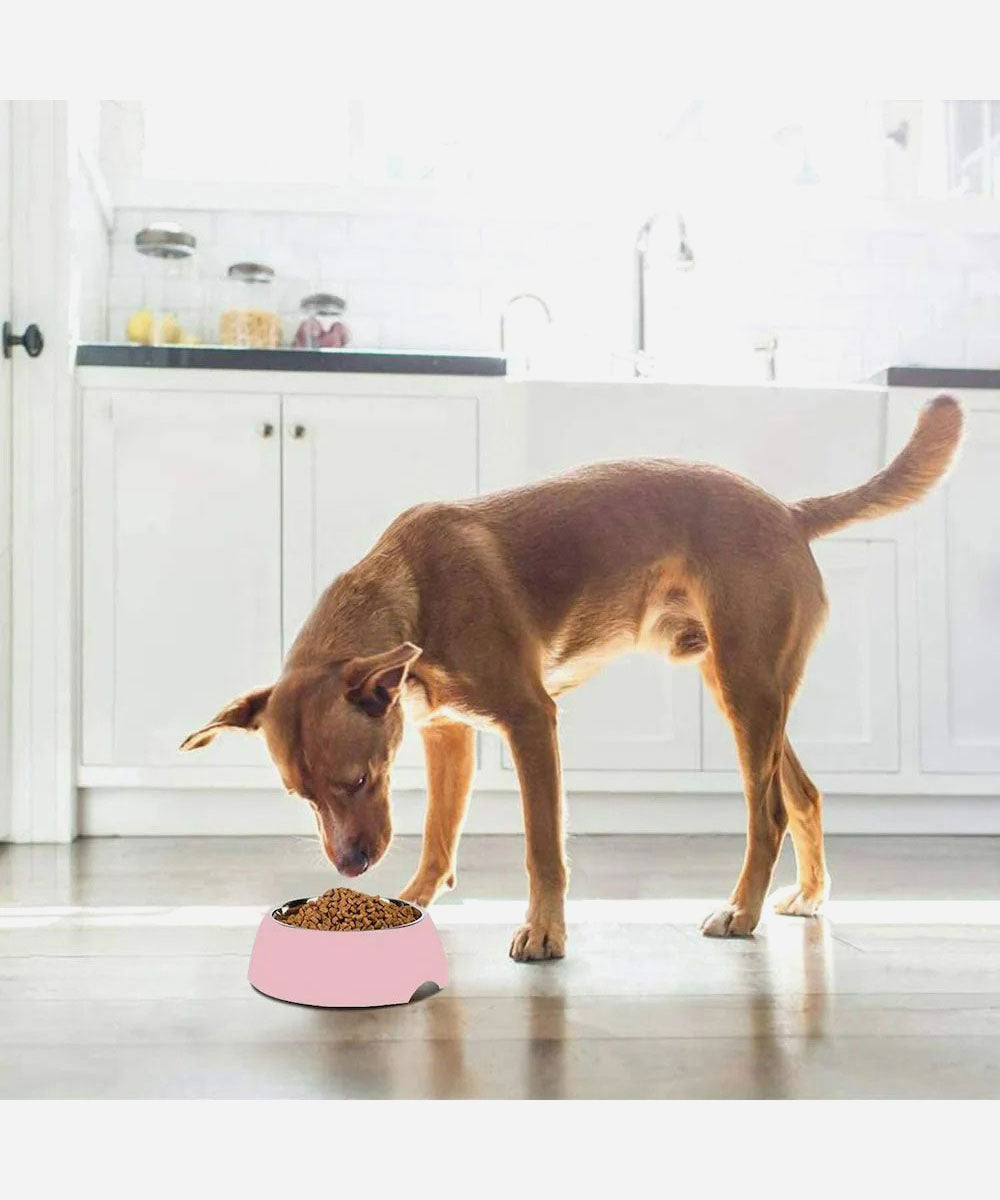 Food-Grade Melamine Base and Stainless Steel Bowl