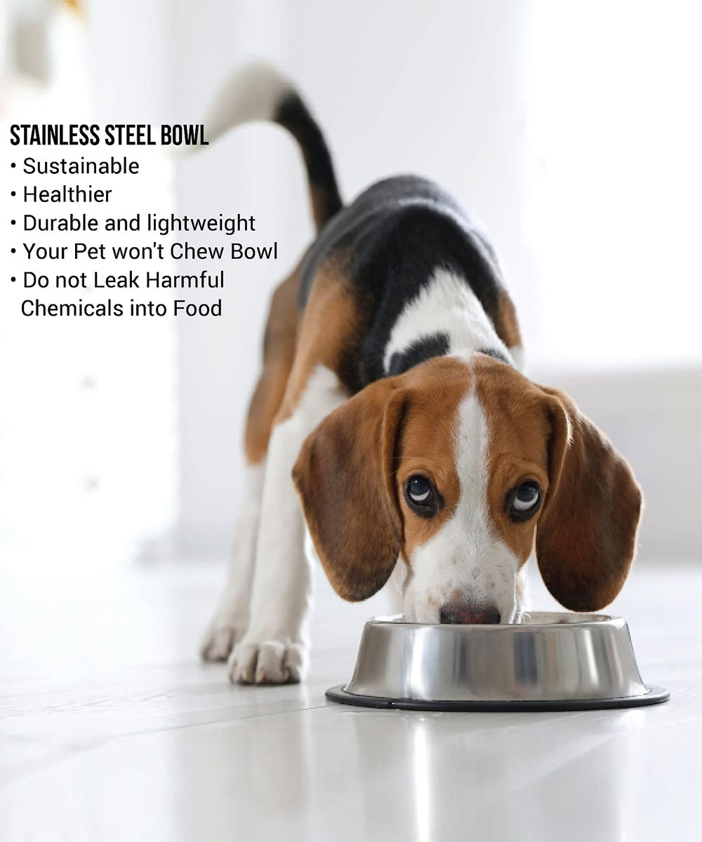 Pets Empire Stainless Steel Dog Bowl (Set of 2)
